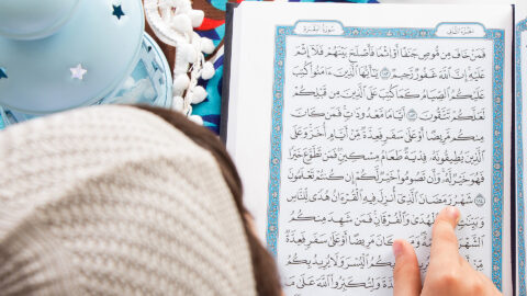 Symbolbild zum Artikel. Der Link öffnet das Bild in einer großen Anzeige.