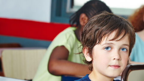 Symbolbild zum Artikel. Der Link öffnet das Bild in einer großen Anzeige.