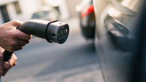 Symbolbild zum Artikel. Der Link öffnet das Bild in einer großen Anzeige.