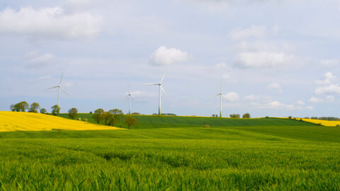 Symbolbild zum Artikel. Der Link öffnet das Bild in einer großen Anzeige.