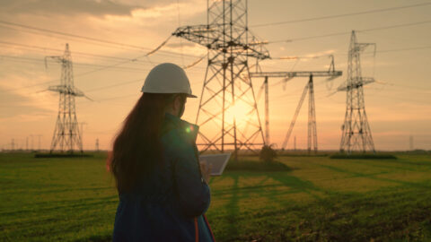 Symbolbild zum Artikel. Der Link öffnet das Bild in einer großen Anzeige.