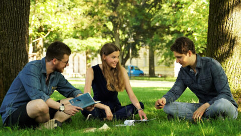 Symbolbild zum Artikel. Der Link öffnet das Bild in einer großen Anzeige.