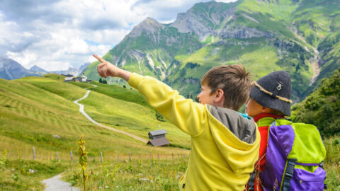 Symbolbild zum Artikel. Der Link öffnet das Bild in einer großen Anzeige.