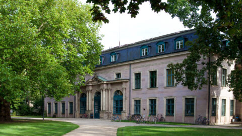 Symbolbild zum Artikel. Der Link öffnet das Bild in einer großen Anzeige.