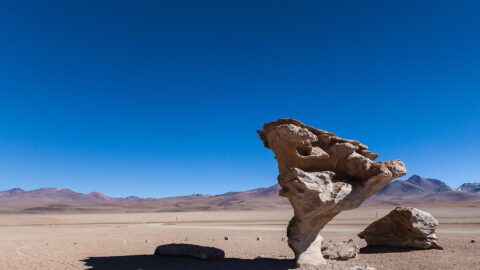 Symbolbild zum Artikel. Der Link öffnet das Bild in einer großen Anzeige.