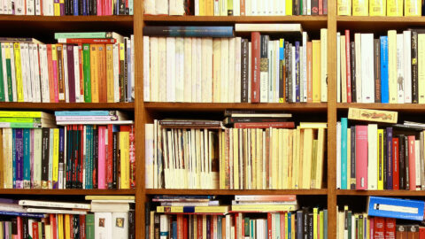 Symbolbild zum Artikel. Der Link öffnet das Bild in einer großen Anzeige.