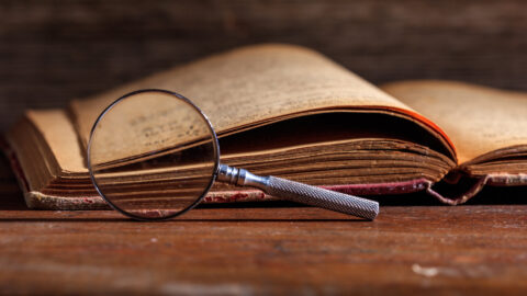 Symbolbild zum Artikel. Der Link öffnet das Bild in einer großen Anzeige.