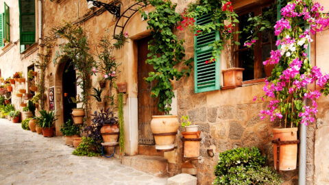 Symbolbild zum Artikel. Der Link öffnet das Bild in einer großen Anzeige.