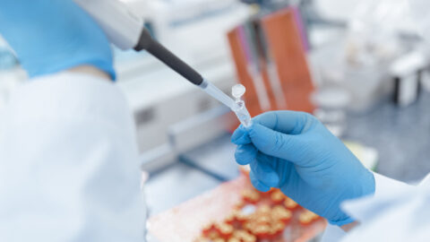 Symbolbild zum Artikel. Der Link öffnet das Bild in einer großen Anzeige.