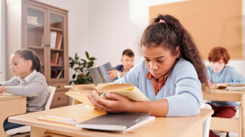 Symbolbild zum Artikel. Der Link öffnet das Bild in einer großen Anzeige.