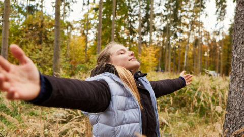 Symbolbild zum Artikel. Der Link öffnet das Bild in einer großen Anzeige.