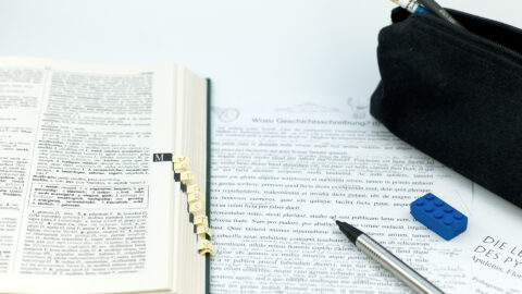 Symbolbild zum Artikel. Der Link öffnet das Bild in einer großen Anzeige.