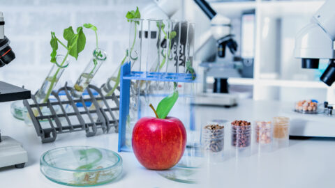 Symbolbild zum Artikel. Der Link öffnet das Bild in einer großen Anzeige.