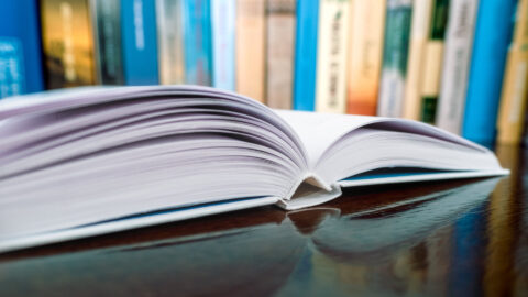 Symbolbild zum Artikel. Der Link öffnet das Bild in einer großen Anzeige.