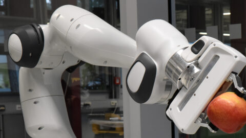 Symbolbild zum Artikel. Der Link öffnet das Bild in einer großen Anzeige.