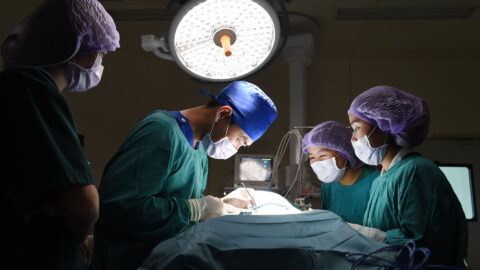 Symbolbild zum Artikel. Der Link öffnet das Bild in einer großen Anzeige.