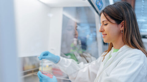 Symbolbild zum Artikel. Der Link öffnet das Bild in einer großen Anzeige.