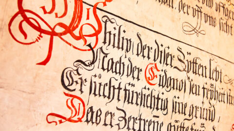 Symbolbild zum Artikel. Der Link öffnet das Bild in einer großen Anzeige.