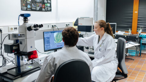 Symbolbild zum Artikel. Der Link öffnet das Bild in einer großen Anzeige.