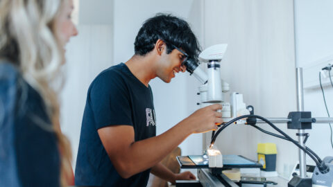 Symbolbild zum Artikel. Der Link öffnet das Bild in einer großen Anzeige.