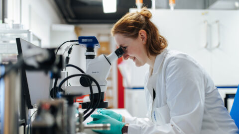 Symbolbild zum Artikel. Der Link öffnet das Bild in einer großen Anzeige.