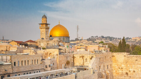 Symbolbild zum Artikel. Der Link öffnet das Bild in einer großen Anzeige.