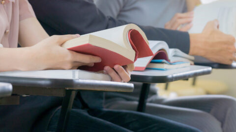 Symbolbild zum Artikel. Der Link öffnet das Bild in einer großen Anzeige.