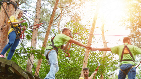 Symbolbild zum Artikel. Der Link öffnet das Bild in einer großen Anzeige.
