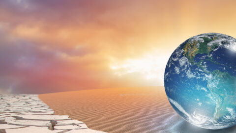 Symbolbild zum Artikel. Der Link öffnet das Bild in einer großen Anzeige.