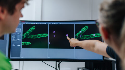 Symbolbild zum Artikel. Der Link öffnet das Bild in einer großen Anzeige.