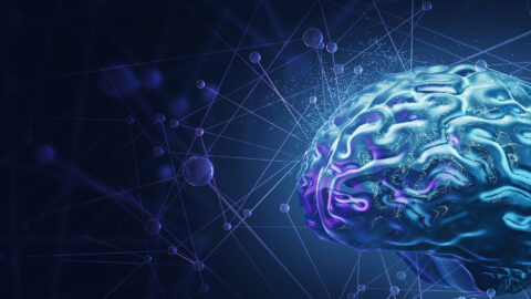 Symbolbild zum Artikel. Der Link öffnet das Bild in einer großen Anzeige.