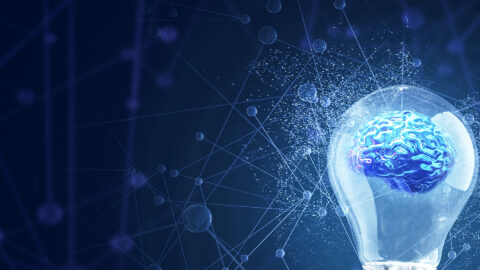 Symbolbild zum Artikel. Der Link öffnet das Bild in einer großen Anzeige.