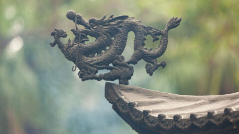 Symbolbild zum Artikel. Der Link öffnet das Bild in einer großen Anzeige.