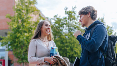 Symbolbild zum Artikel. Der Link öffnet das Bild in einer großen Anzeige.