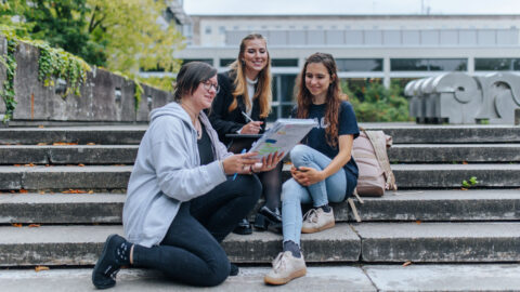 Symbolbild zum Artikel. Der Link öffnet das Bild in einer großen Anzeige.