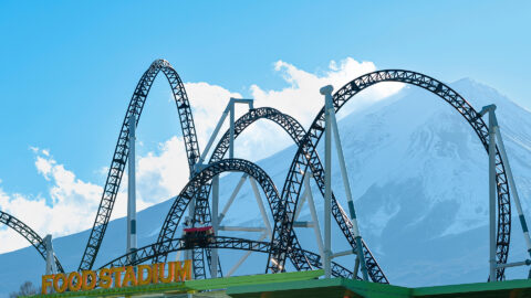 Symbolbild zum Artikel. Der Link öffnet das Bild in einer großen Anzeige.