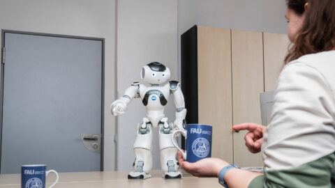 Symbolbild zum Artikel. Der Link öffnet das Bild in einer großen Anzeige.