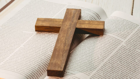 Symbolbild zum Artikel. Der Link öffnet das Bild in einer großen Anzeige.