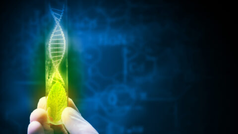 Eine Hand hält ein Reagenzglas