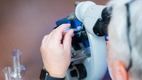 Symbolbild zum Artikel. Der Link öffnet das Bild in einer großen Anzeige.