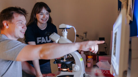 Symbolbild zum Artikel. Der Link öffnet das Bild in einer großen Anzeige.