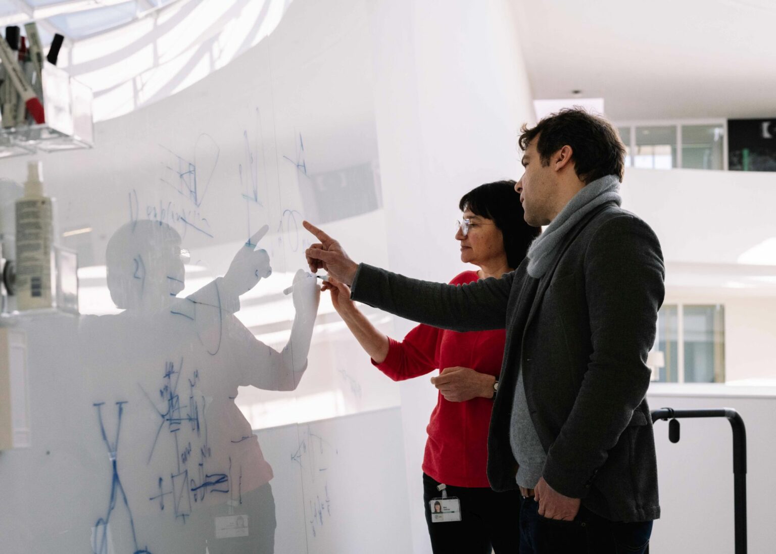 Über die FAU Mein Studium