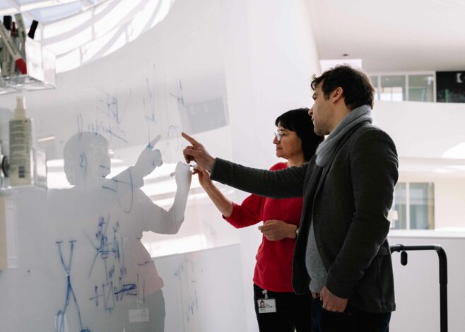 Über die FAU Mein Studium