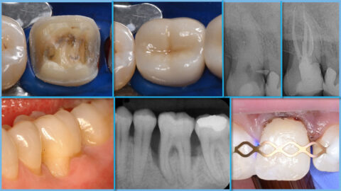 Symbolbild zum Artikel. Der Link öffnet das Bild in einer großen Anzeige.